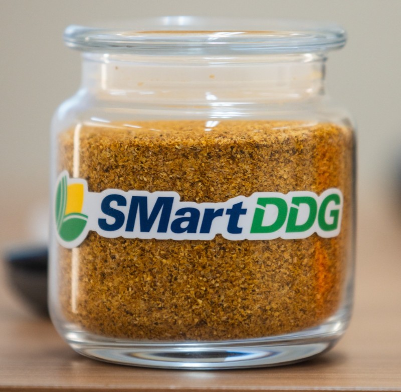 SMartDDG